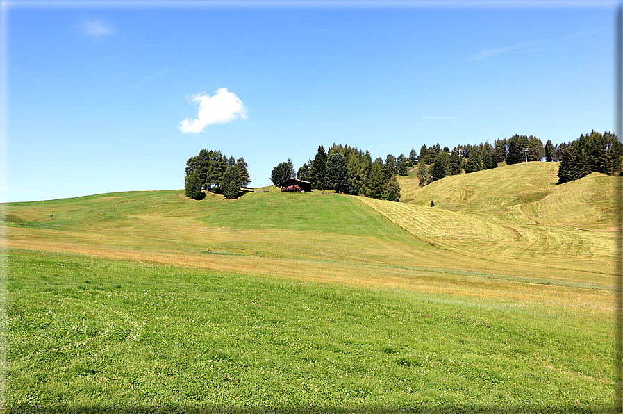 foto Alpe di Siusi